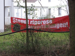 Stoppt rigorose Baumfällungen